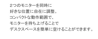 LXデュアルダイレクトアーム | NEW!