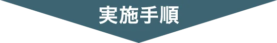 実施手順